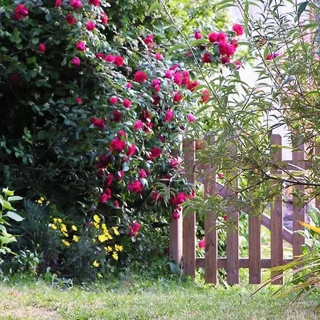 Tatil Evi Maison De Caractere Spacieuse Et Confortable, Grand Jardin , Superbes Vues