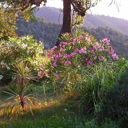 Maison De Caractere Spacieuse Et Confortable, Grand Jardin , Superbes Vues Tatil Evi *