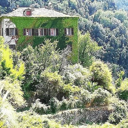 Tatil Evi Maison De Caractere Spacieuse Et Confortable, Grand Jardin , Superbes Vues Castello-di-Rostino