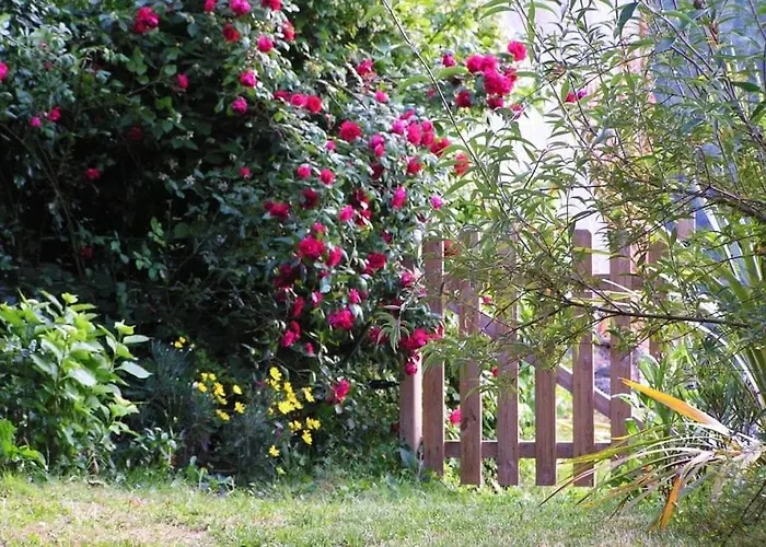 בית נופש Maison De Caractere Spacieuse Et Confortable, Grand Jardin , Superbes Vues